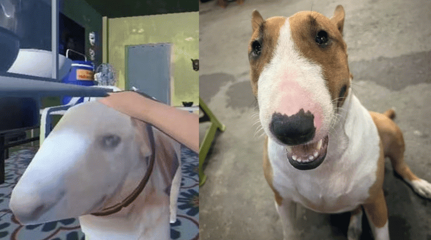 Chú chó giống hệt Cậu Vàng trong game Tiệm Phở của Anh Hai